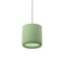 BuzziProp LED Pendant Light  option Jade
