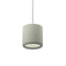 BuzziProp LED Pendant Light  option Silver