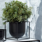 Kubus Flowerpot