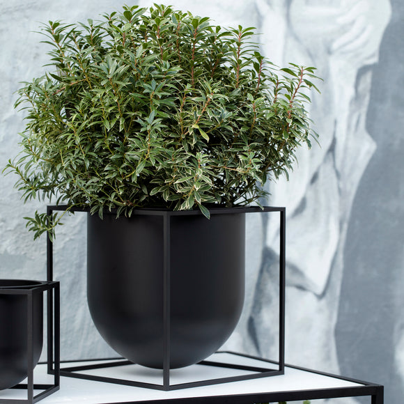 Kubus Flowerpot