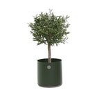 Grow Outdoor Round Planter