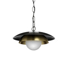 Carapace Flush Mount with Chain