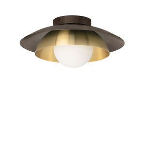 Carapace Wall/Ceiling Light