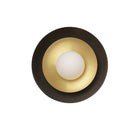 Carapace Wall/Ceiling Light