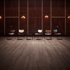 VLA26 Vega Dining Chair