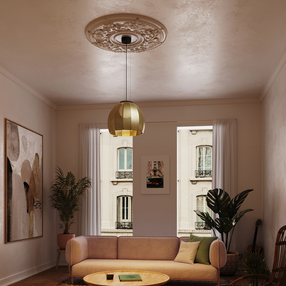 Amicus 16 Pendant Light