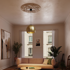 Amicus 16 Pendant Light
