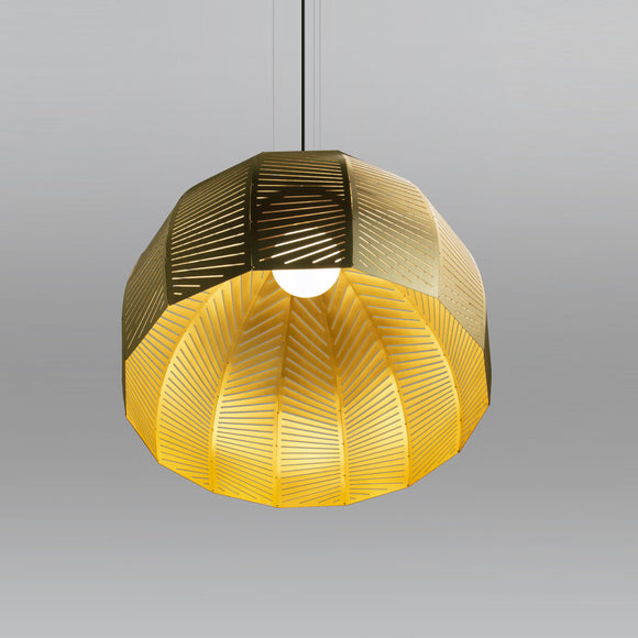 Amicus 21 Pendant Light