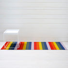 Rainbow Stripe Indoor/Outdoor Shag Runner