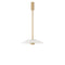 Cielo Pendant Light  option Satin Brass