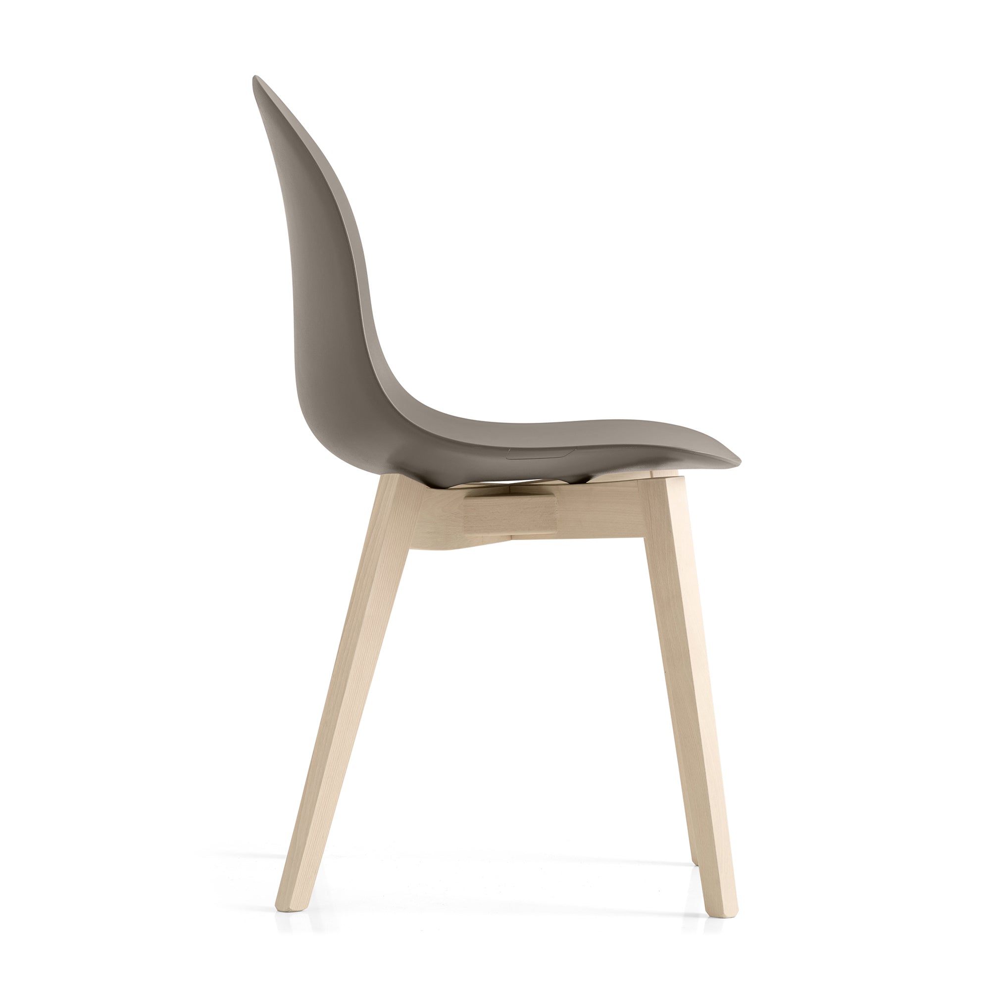 Connubia Academy Chair - 2Modern