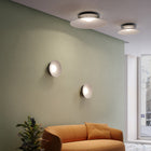 Asia Wall/Ceiling Light
