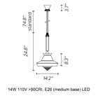 Calypso Guadaloupe Pendant Light