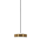 Discus Pendant Light