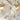 Jasmine LED Linear Island Light
