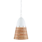 Arundo Pendant Light