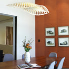 Navicula Pendant Light