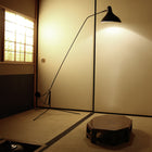 Mantis BS1 Floor Lamp