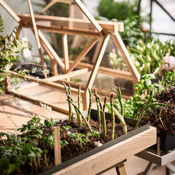 Greenhouse Sculpture