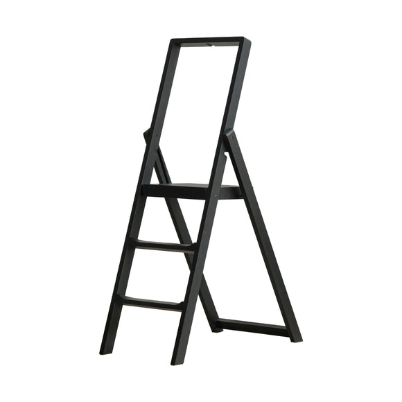 Step Stepladder