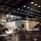 Vinyl Pendant Light