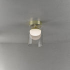 Diver Semi Flush Mount