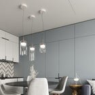 Diver Suspension Light