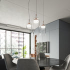 Diver Suspension Light