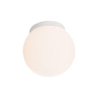 Niveous Wall / Ceiling Light