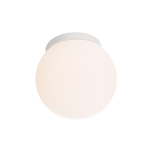 Niveous Wall / Ceiling Light