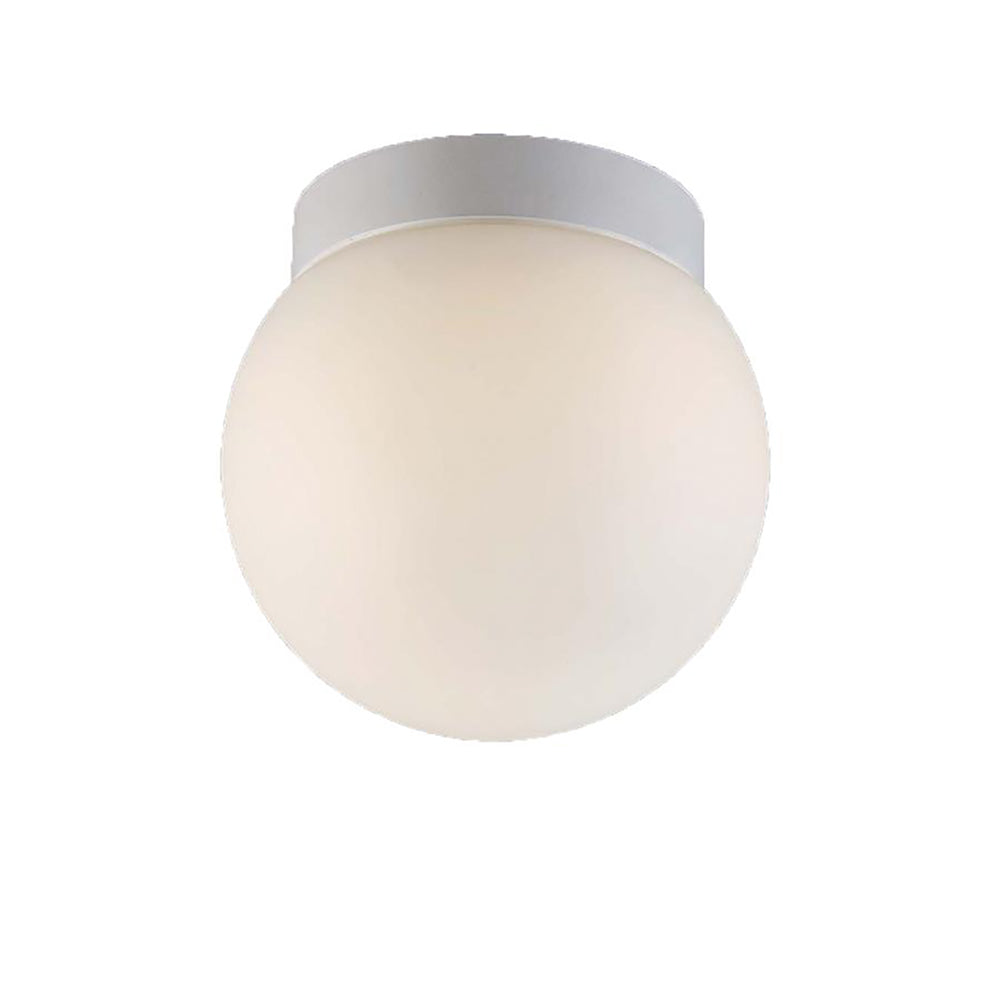 Niveous Wall / Ceiling Light