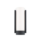 Blake LED Wall Sconce