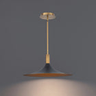 Cochere LED Pendant Light