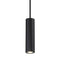 Caliber LED Indoor / Outdoor Pendant Light  option Black