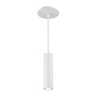 Caliber LED Indoor / Outdoor Pendant Light