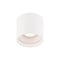 Downtown LED Outdoor Flush Mount  option White