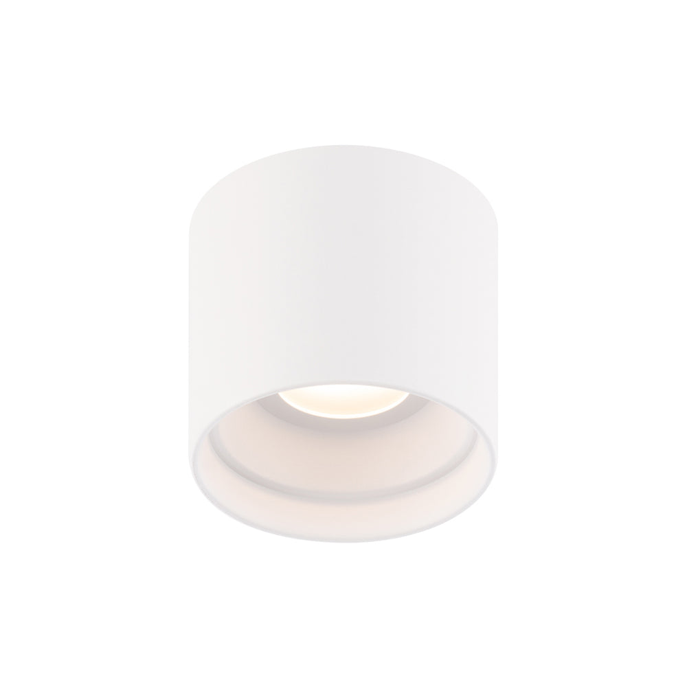 Downtown LED Outdoor Flush Mount