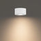Peek LED Outdoor Flush Mount  option 3000K - Soft White
