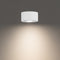 Peek LED Outdoor Flush Mount  option 3500K - Bright White