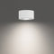 Peek LED Outdoor Flush Mount  option 4000K - Bright White