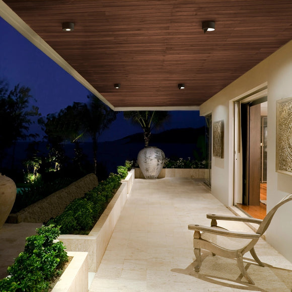 Peek LED Outdoor Flush Mount