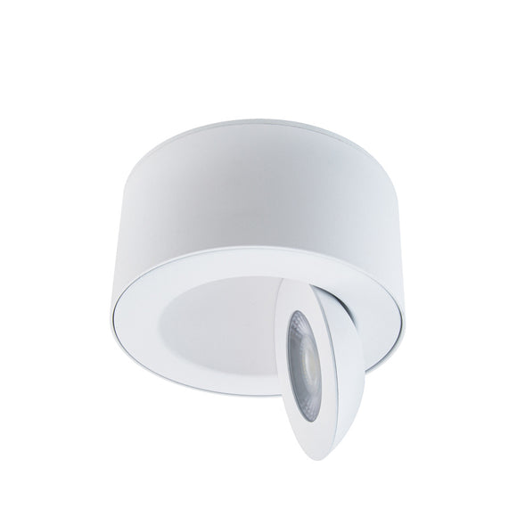 Peek LED Outdoor Flush Mount