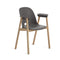 ALFI Armchair  option Dark Grey