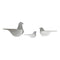 Emeco Birds  option 1 Pigeon and 1 Blackbird and 1 Sparrow