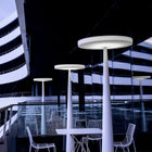 Equilibre Outdoor LED Floor Lamp