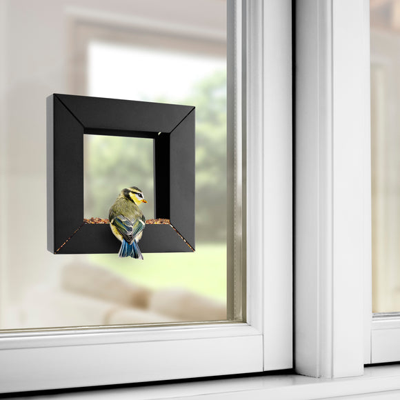 Frame Bird Feeder