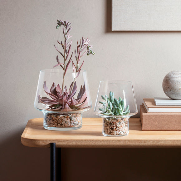 Succulent Glass Vase