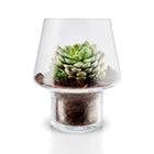 Succulent Glass Vase