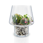 Succulent Glass Vase
