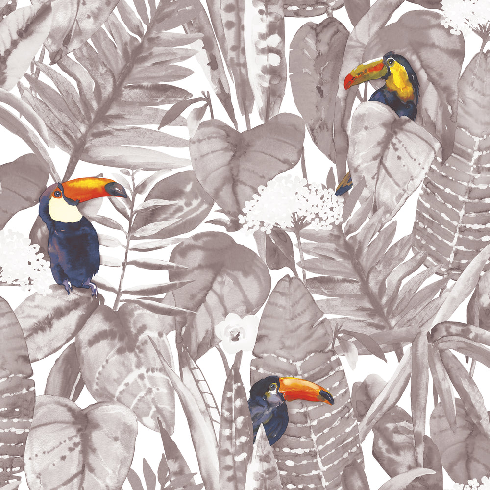 Toucan Peel and Stick Wallpaper Sample Swatch